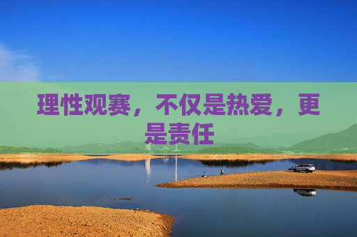 理性观赛,不仅是热爱,更是责任