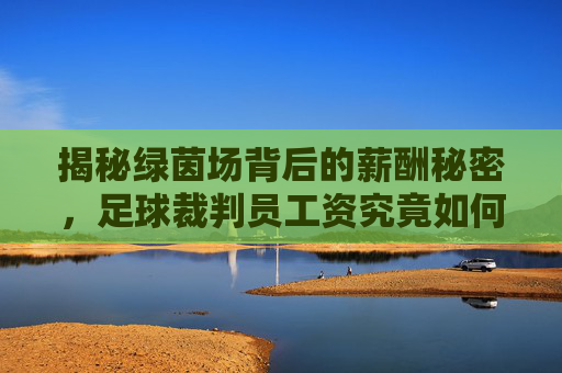 揭秘绿茵场背后的薪酬秘密,足球裁判员工资究竟如何发?