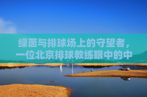 绿茵与排球场上的守望者,一位北京排球教练眼中的中国足球