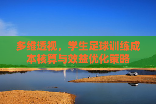 多维透视,学生足球训练成本核算与效益优化策略