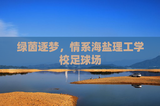绿茵逐梦,情系海盐理工学校足球场