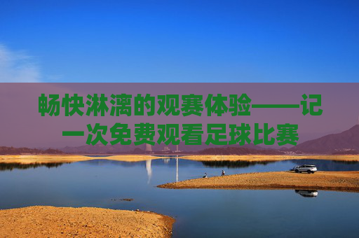畅快淋漓的观赛体验——记一次免费观看足球比赛