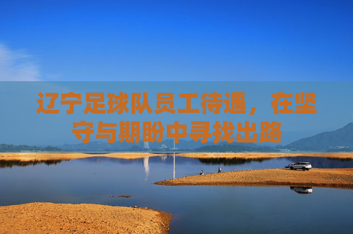 辽宁足球队员工待遇,在坚守与期盼中寻找出路