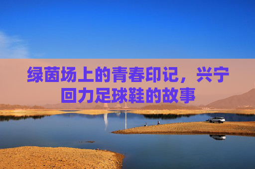 绿茵场上的青春印记,兴宁回力足球鞋的故事