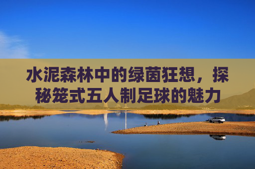 水泥森林中的绿茵狂想,探秘笼式五人制足球的魅力