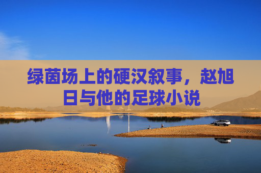 绿茵场上的硬汉叙事,赵旭日与他的足球小说
