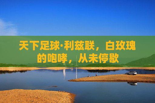 天下足球·利兹联,白玫瑰的咆哮,从未停歇