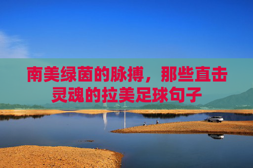 南美绿茵的脉搏,那些直击灵魂的拉美足球句子