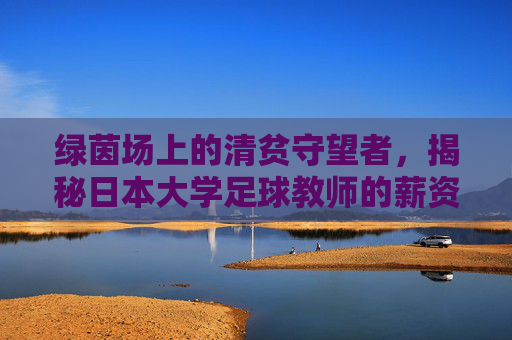 绿茵场上的清贫守望者,揭秘日本大学足球教师的薪资困境与现状