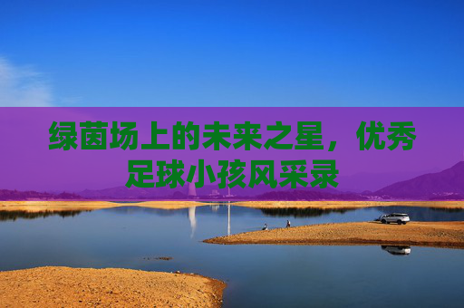 绿茵场上的未来之星,优秀足球小孩风采录