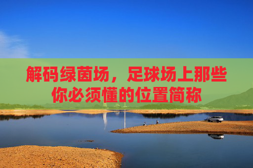 解码绿茵场,足球场上那些你必须懂的位置简称