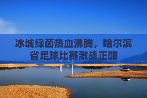 冰城绿茵热血沸腾,哈尔滨省足球比赛激战正酣