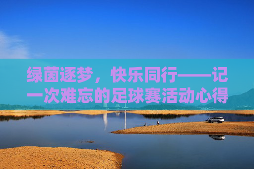 绿茵逐梦,快乐同行——记一次难忘的足球赛活动心得