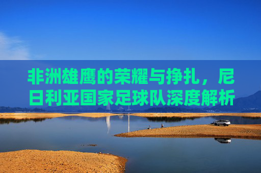 非洲雄鹰的荣耀与挣扎,尼日利亚国家足球队深度解析