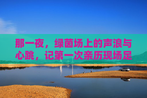 那一夜,绿茵场上的声浪与心跳,记第一次亲历现场足球