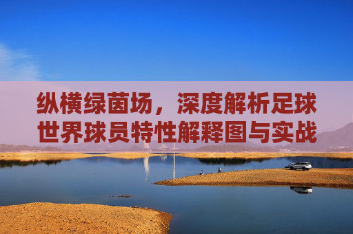 纵横绿茵场,深度解析足球世界球员特性解释图与实战应用