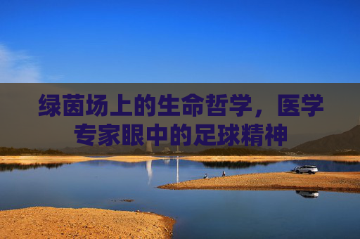 绿茵场上的生命哲学,医学专家眼中的足球精神