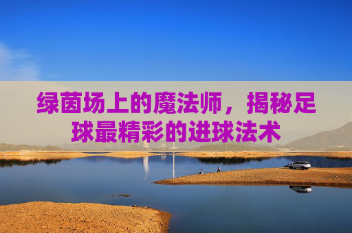 绿茵场上的魔法师,揭秘足球最精彩的进球法术