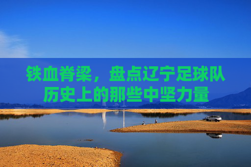 铁血脊梁，盘点辽宁足球队历史上的那些中坚力量