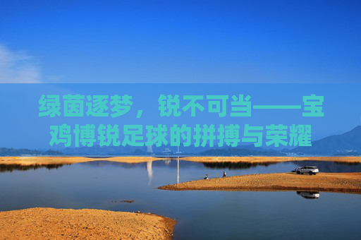 绿茵逐梦,锐不可当——宝鸡博锐足球的拼搏与荣耀