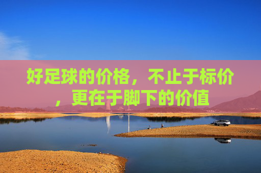 好足球的价格,不止于标价,更在于脚下的价值