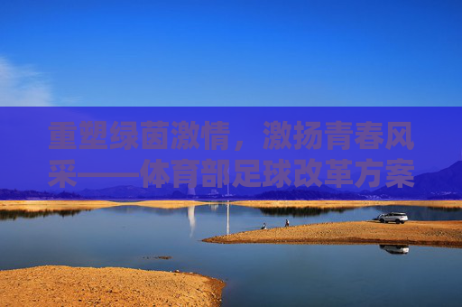 重塑绿茵激情,激扬青春风采——体育部足球改革方案与展望