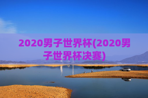 2020男子世界杯(2020男子世界杯决赛)