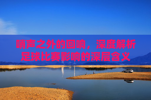 哨声之外的回响,深度解析足球比赛影响的深层含义
