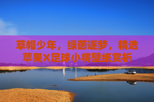 草帽少年,绿茵逐梦,精选苹果X足球小将壁纸赏析