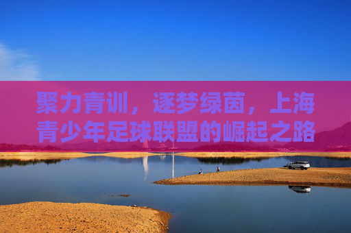 聚力青训，逐梦绿茵，上海青少年足球联盟的崛起之路