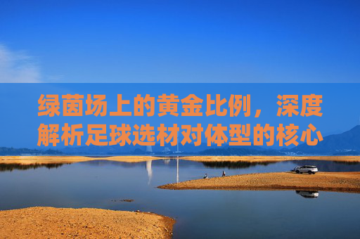 绿茵场上的黄金比例,深度解析足球选材对体型的核心要求