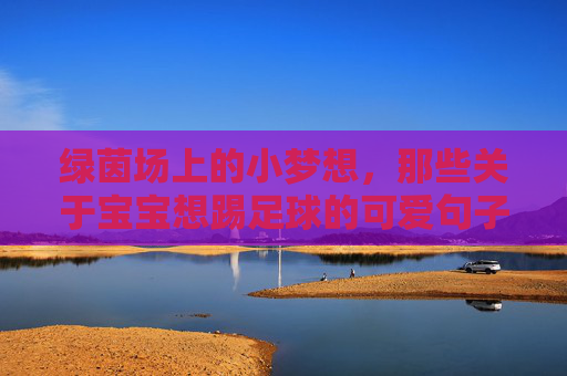 绿茵场上的小梦想,那些关于宝宝想踢足球的可爱句子
