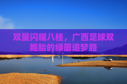 双星闪耀八桂,广西足球双胞胎的绿茵追梦路