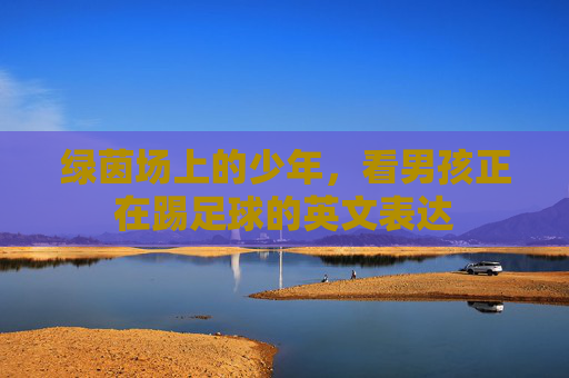 绿茵场上的少年,看男孩正在踢足球的英文表达