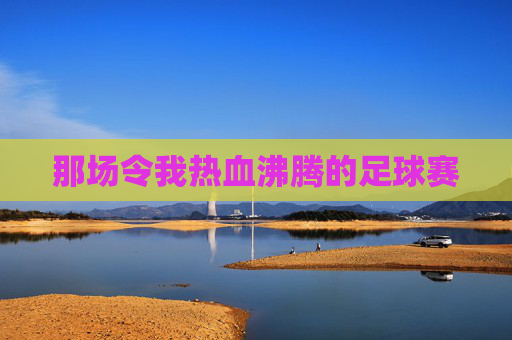那场令我热血沸腾的足球赛
