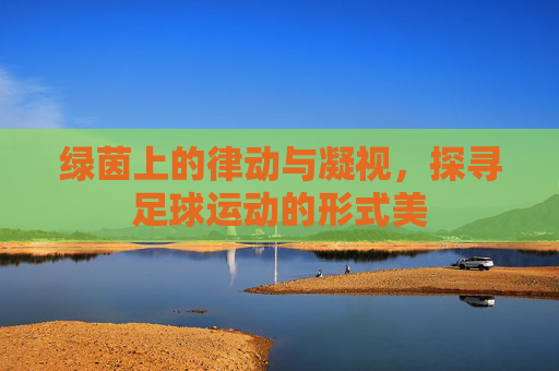 绿茵上的律动与凝视,探寻足球运动的形式美