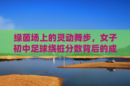 绿茵场上的灵动舞步,女子初中足球绕桩分数背后的成长与突破