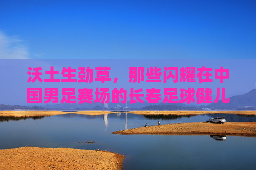 沃土生劲草,那些闪耀在中国男足赛场的长春足球健儿
