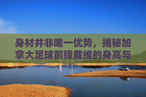 身材并非唯一优势,揭秘加拿大足球前锋戴维的身高与球技