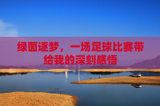 绿茵逐梦,一场足球比赛带给我的深刻感悟
