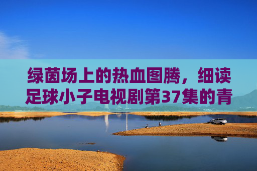 绿茵场上的热血图腾,细读足球小子电视剧第37集的青春密码