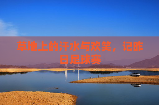 草地上的汗水与欢笑,记昨日足球赛