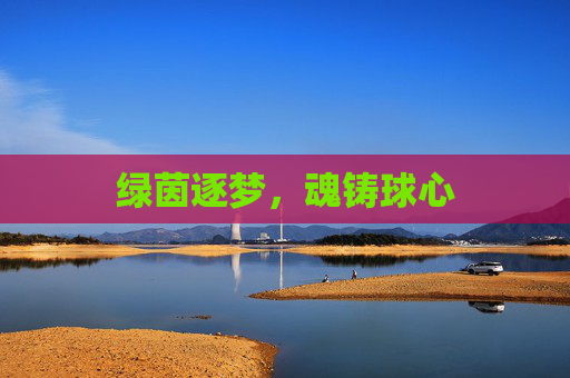 绿茵逐梦,魂铸球心