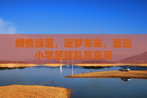 燃情绿茵,逐梦未来,麦岛小学足球队风采录