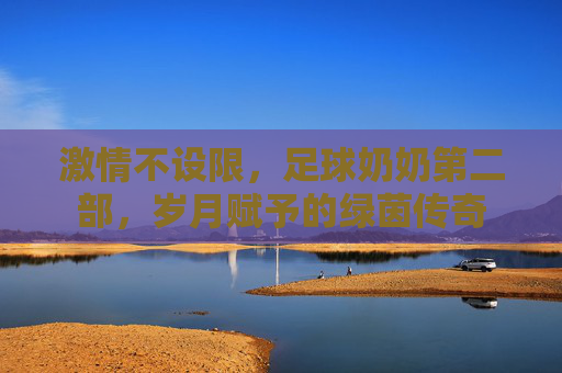 激情不设限,足球奶奶第二部,岁月赋予的绿茵传奇