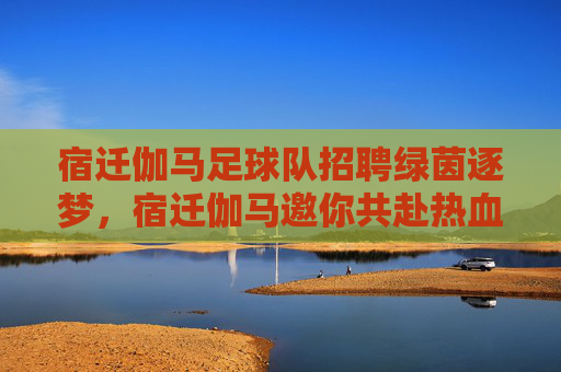 宿迁伽马足球队招聘绿茵逐梦,宿迁伽马邀你共赴热血之约!