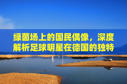绿茵场上的国民偶像,深度解析足球明星在德国的独特地位