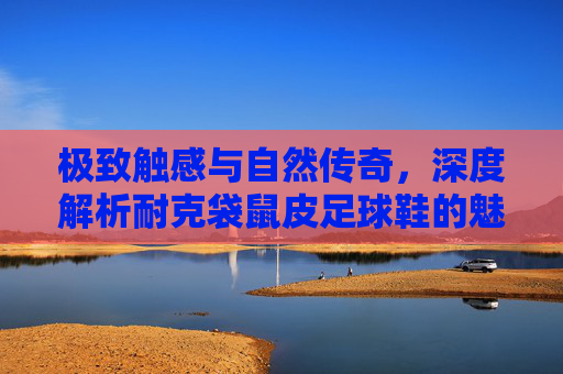 极致触感与自然传奇，深度解析耐克袋鼠皮足球鞋的魅力