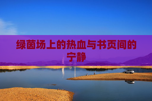 绿茵场上的热血与书页间的宁静