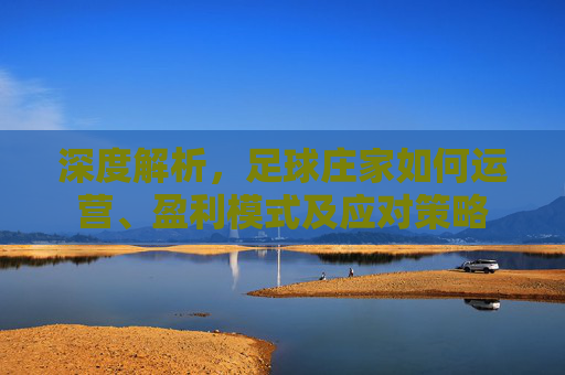 深度解析,足球庄家如何运营、盈利模式及应对策略